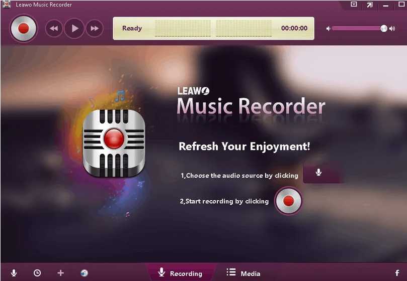 Features of Leawo Music Recorder